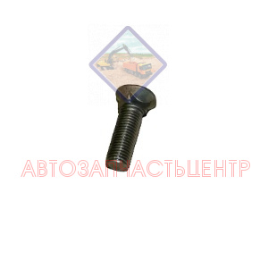 Болт М10*45